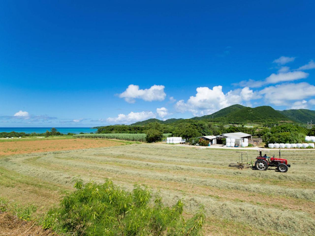 Sun Green Resort Hotel Ishigaki Ishigaki  Kültér fotó